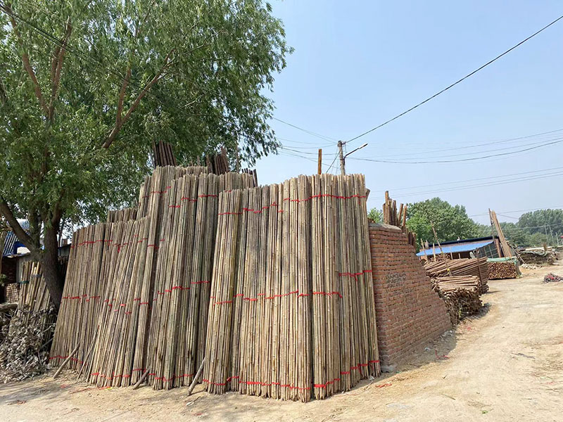 廠(chǎng)容廠(chǎng)景