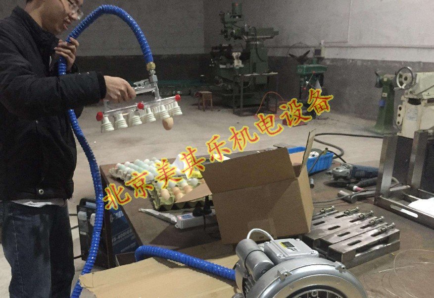 漩渦氣泵應(yīng)用于雞蛋真空吸附器(視頻)